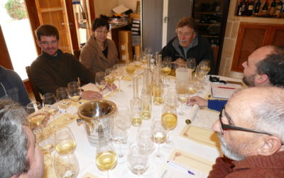 Work in the cellar: SELECTION OF OAK BARRELS