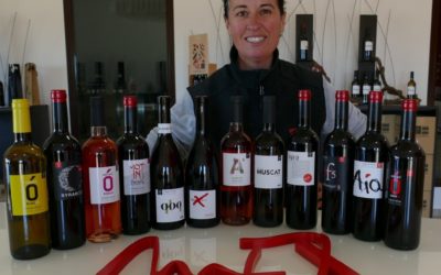 Las bodegas de Pla i Llevant presentan sus novedades vinícolas