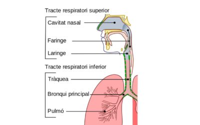 Vino y salud (7): A propósito del coronavirus. El poder desinfectante del vino en las vías respiratorias