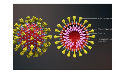 Medidas tomadas ante la pandemia de Coronavirus
