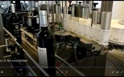 Trabajos en las bodegas: En Vi Rei embotellan el vino tinto (vídeo)