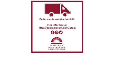Bodegas del Pla i Llevant que te llevan el vino a casa