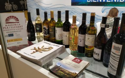 Vino y salud (8). Recomendaciones sobre cantidad y cómo beber el vino para que sea saludable.