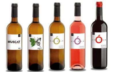 Pilar Oliver presenta las nuevas etiquetas de su bodega, Miquel Oliver.