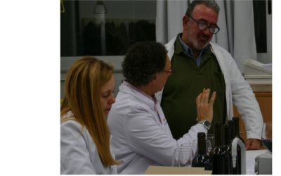 Premios Baco 2019. Baco de Plata. Son Ravell. Armero&Adrover