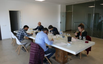 Cata en primicia de los vinos 2020. «Per Sant Martí, enceta el vi».