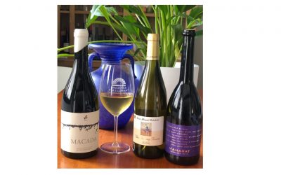 Las bodegas Vins Miquel Gelabert, Butxet Vinicultors y Es Fangar premiadas con medalla de oro en el concurso Bacchus 2021