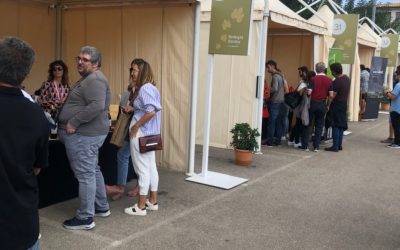 Fira del Vi de Pollença 2021