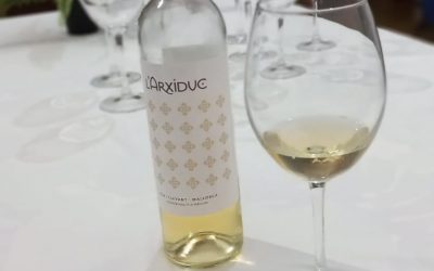 Cata de vinos de la bodega Pere Seda en el Urban Hostel de Palma