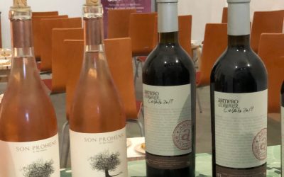 Cata de vinos de la bodega Armero i Adrover en el Urban Hostel de Palma.