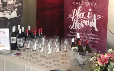 Vuelven las actividades en torno al vino