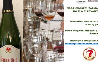 Cata de vinos de la bodega Es Gallicant (Campos) en el Urban Hostel Palma