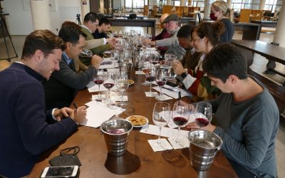 El día de San Martín cata de los primeros vinos de la añada 2021