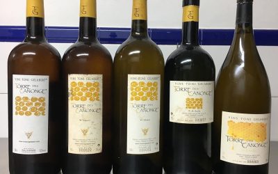 Cata  vertical de Torre des Canonge, varietal de Giró ros de Vins Toni Gelabert.