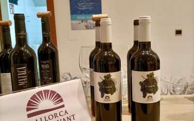 Sobre la iniciativa de la Unión Europea de etiquetaje de botellas de vino