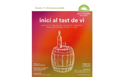 Inicio a la cata de vino