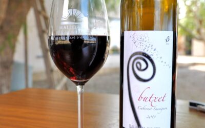 Arroz con rabo de toro, maridaje entre la cocina de Miquel Calent y los vinos de la bodega Butxet. Fred i Calent, IB3 tv.