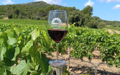 ¿Por que el vino es tan especial?