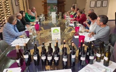 Bodegueros, sumilleres y restauradores catan vinos en rama de la prometedora añada 2024 de la DO Pla i Llevant.