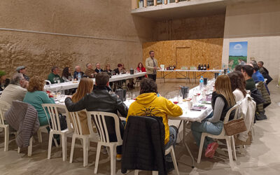 Cata y vinificaciones de vinos blancos y tintos: una experiencia enológica
