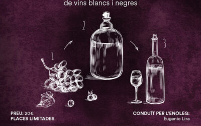Nuevo curso de cata y vinificaciones de vinos blancos y tintos con la DO Pla i Llevant