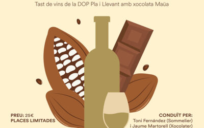 Vino y chocolate: Una experiencia sensorial inolvidable