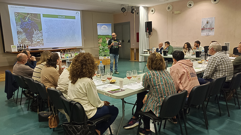 Empieza el ciclo Noviembre Enológico de Manacor con un curso dedicado a las vinificaciones