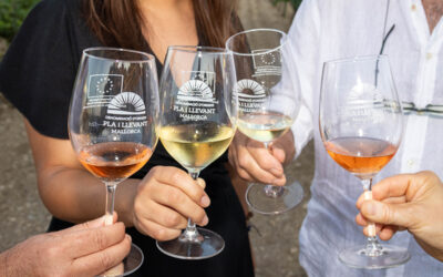 Pla i Llevant adapta la normativa de acidez de los vinos al nuevo contexto climático