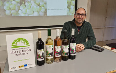 Curso de cata y vinificaciones en Sóller